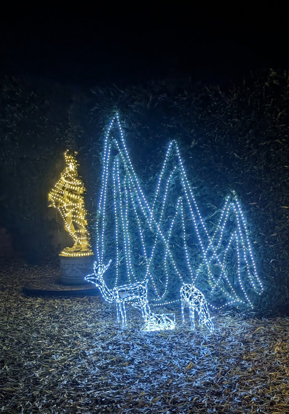 Christmas lights adorn a statue. A reindeer family stand in front of illuminated trees.