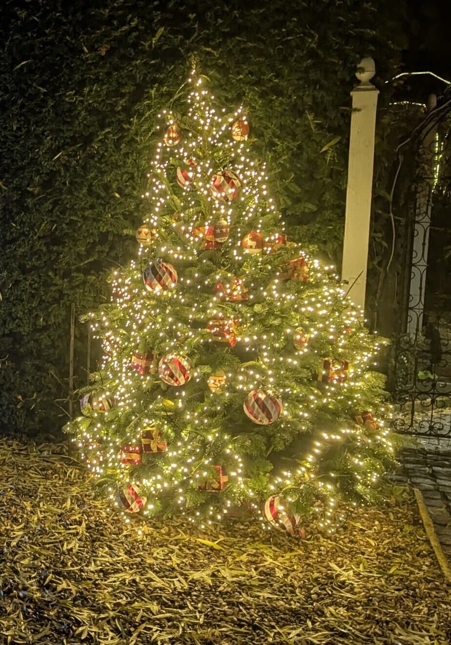 Festive Christmas decorated tree with lights outside at The Saddlery Holiday Cottage.