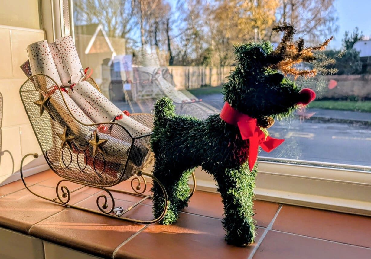 Green tinsel reindeer sleigh on the kitchen windowsill next to a metal sleigh with a sunny Street view outside.